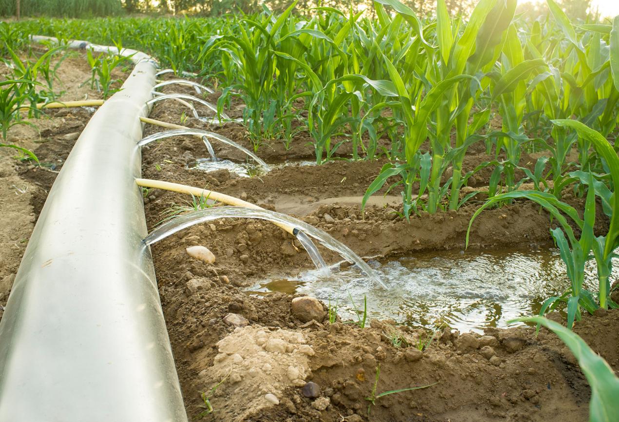 Irrigation