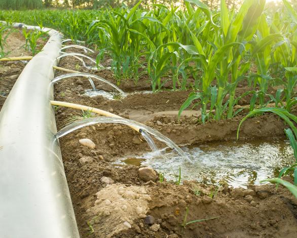 Irrigation